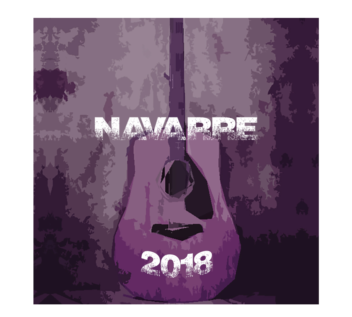 CHAPA NAVARRE 2018