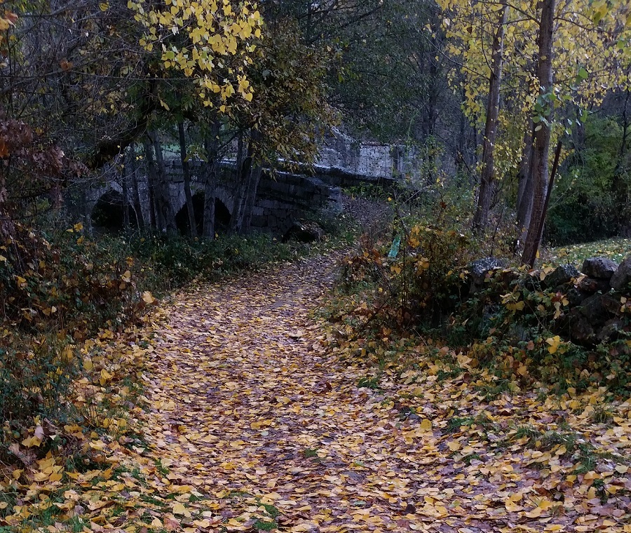 20151026_160954