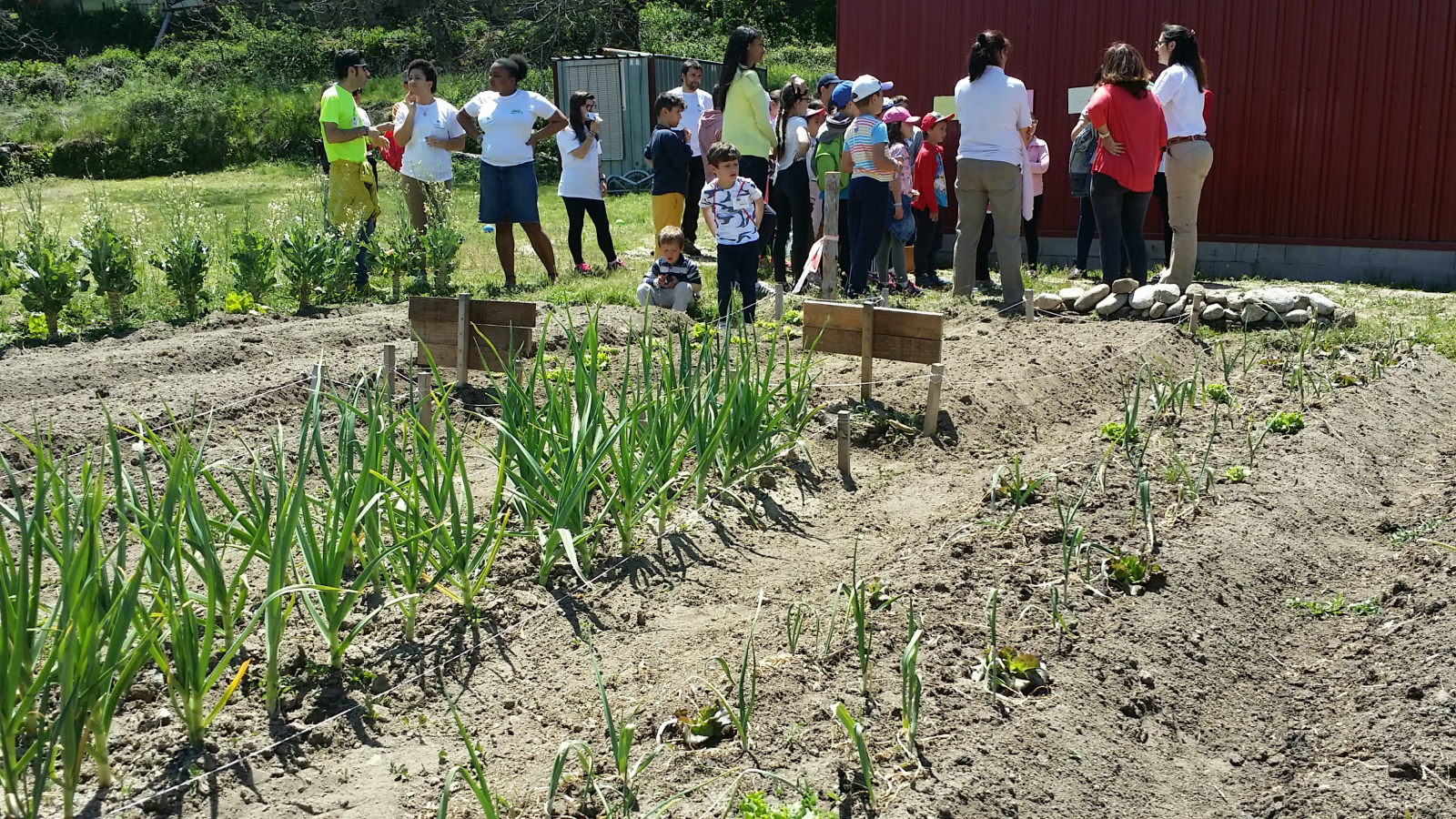 Jornada de Huertos escolares con la Oficina Verde (Universidad de Salamanca)